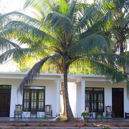 Shady Mango Villa Sigiriya Exteriér fotografie
