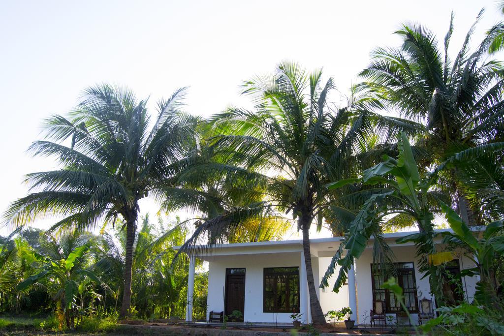 Shady Mango Villa Sigiriya Exteriér fotografie