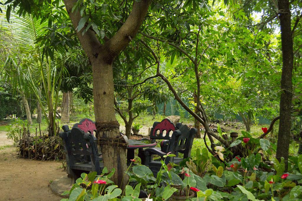 Shady Mango Villa Sigiriya Exteriér fotografie